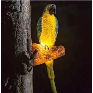 Wall Decor Light Metal & Parrot Type (Model: BT-5317)