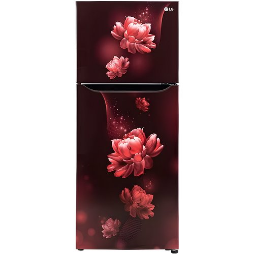 LG GL-N292BSCY 242L Frost Free Double Door Refrigerator with Smart Inverter Compressor, MOIST ‘N’ FRESH, 2-Star – Scarlet Charm