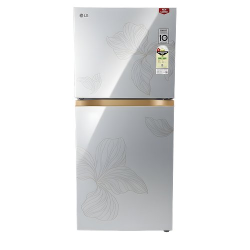 LG 225 L Double Door Frost-Free Refrigerator (Radiant Inox, GLT2216WYRI)